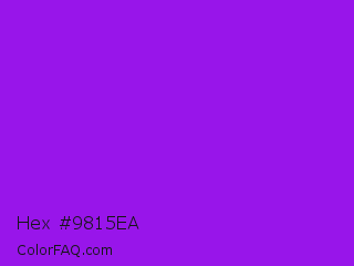 Hex #9815ea Color Image