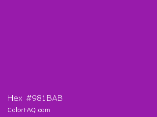 Hex #981bab Color Image