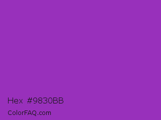 Hex #9830bb Color Image