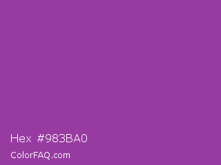 Hex #983ba0 Color Image