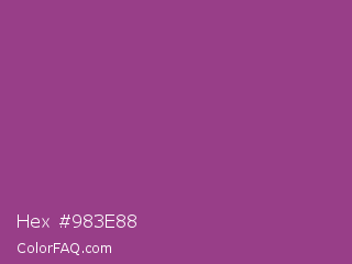 Hex #983e88 Color Image