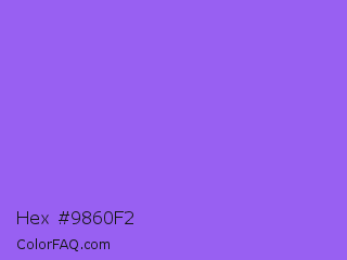 Hex #9860f2 Color Image
