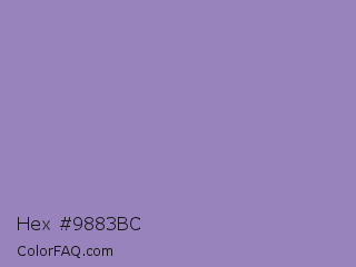 Hex #9883bc Color Image