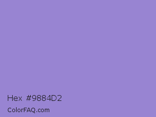 Hex #9884d2 Color Image