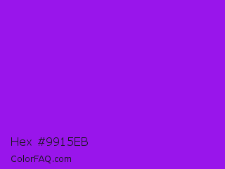 Hex #9915eb Color Image