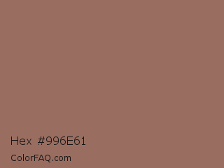 Hex #996e61 Color Image