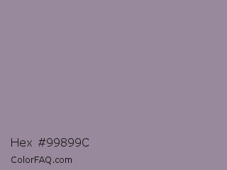 Hex #99899c Color Image