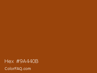 Hex #9a440b Color Image