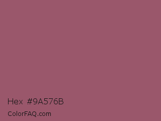 Hex #9a576b Color Image