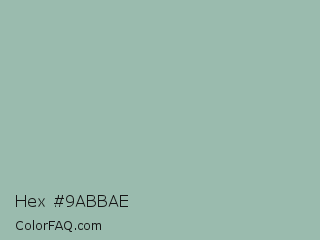Hex #9abbae Color Image