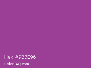 Hex #9b3e96 Color Image