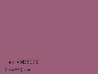 Hex #9b5e79 Color Image