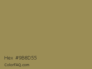 Hex #9b8d55 Color Image