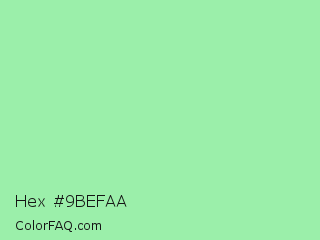 Hex #9befaa Color Image