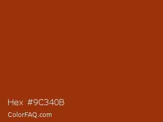 Hex #9c340b Color Image