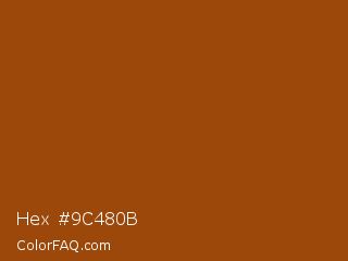 Hex #9c480b Color Image