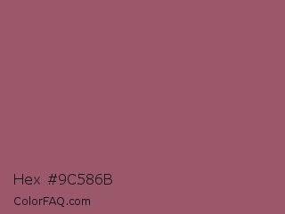 Hex #9c586b Color Image