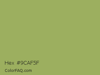 Hex #9caf5f Color Image