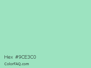 Hex #9ce3c0 Color Image