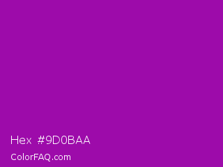 Hex #9d0baa Color Image