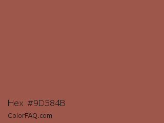 Hex #9d584b Color Image