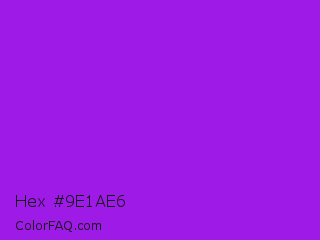 Hex #9e1ae6 Color Image