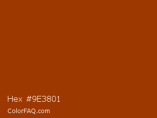 Hex #9e3801 Color Image
