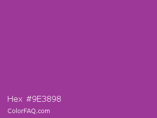 Hex #9e3898 Color Image