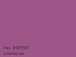 Hex #9e5587 Color Image