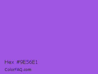 Hex #9e56e1 Color Image
