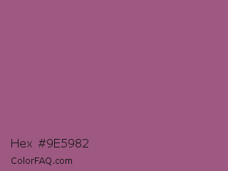 Hex #9e5982 Color Image