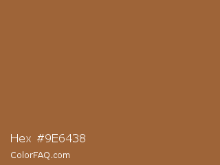 Hex #9e6438 Color Image