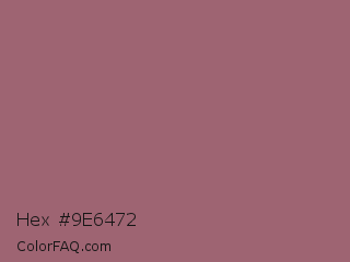 Hex #9e6472 Color Image