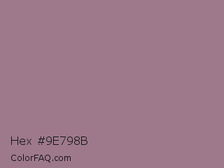 Hex #9e798b Color Image