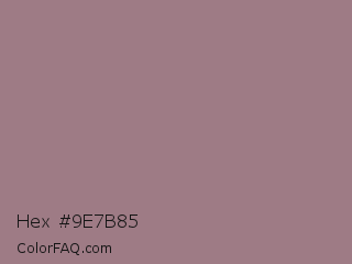 Hex #9e7b85 Color Image