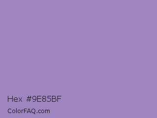 Hex #9e85bf Color Image