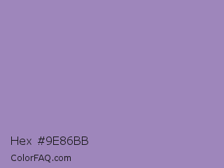 Hex #9e86bb Color Image