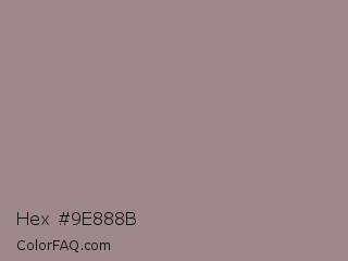 Hex #9e888b Color Image