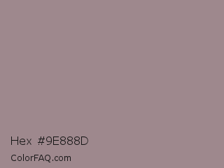 Hex #9e888d Color Image