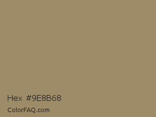 Hex #9e8b68 Color Image