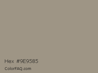Hex #9e9585 Color Image