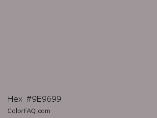 Hex #9e9699 Color Image