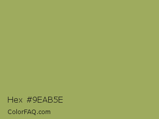 Hex #9eab5e Color Image