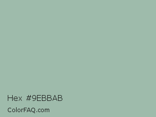 Hex #9ebbab Color Image