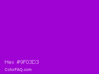 Hex #9f03d3 Color Image