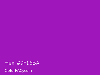 Hex #9f16ba Color Image