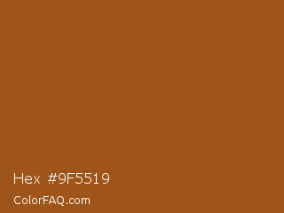 Hex #9f5519 Color Image