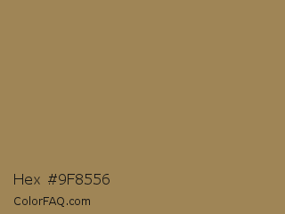 Hex #9f8556 Color Image