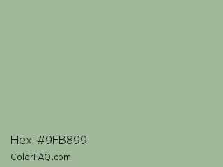 Hex #9fb899 Color Image