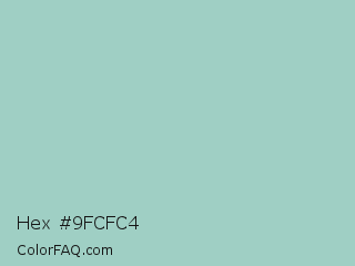 Hex #9fcfc4 Color Image